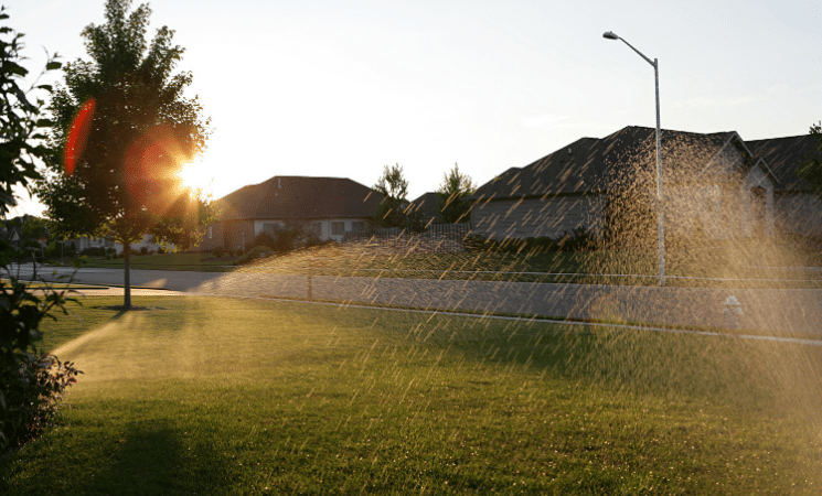 Top 3 Reasons to Get a Sprinkler Inspection